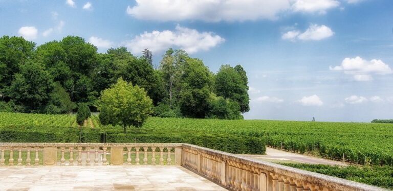 Terroir-Artisan - Les vins de l’Yonne : vignoble, production et dégustation Terroir-Artisan - Les vins de l’Yonne : vignoble, production et dégustation
