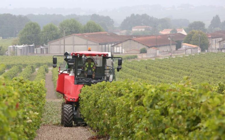 Terroir-Artisan - Cognac, des vendanges plus précoces que prévues Terroir-Artisan - Cognac, des vendanges plus précoces que prévues