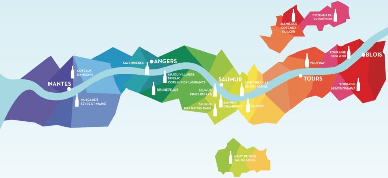 Terroir-Artisan - Vins de Loire 2019, un millésime prometteur Terroir-Artisan - Vins de Loire 2019, un millésime prometteur