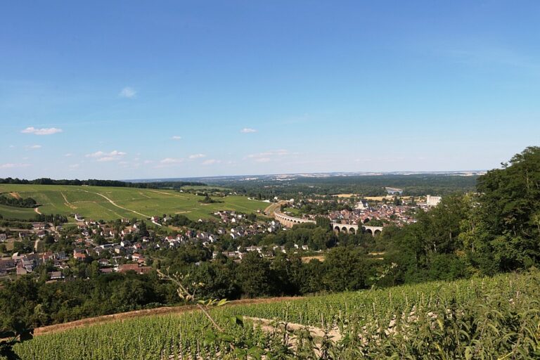 Terroir-Artisan - L’appellation Sancerre, son origine, son histoire Terroir-Artisan - L’appellation Sancerre, son origine, son histoire
