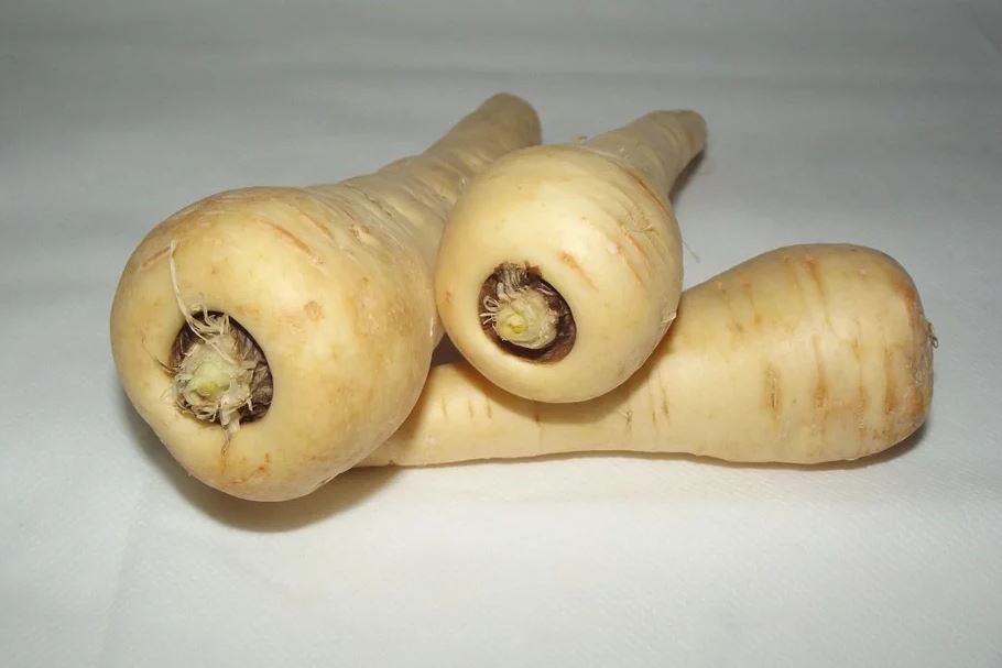 Terroir-Artisan - Le panais, un légume ancien, de retour