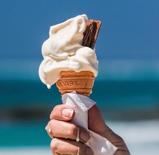 Terroir-Artisan - Les Glaces et sorbets fermier au lait de vache Terroir-Artisan - Les Glaces et sorbets fermier au lait de vache
