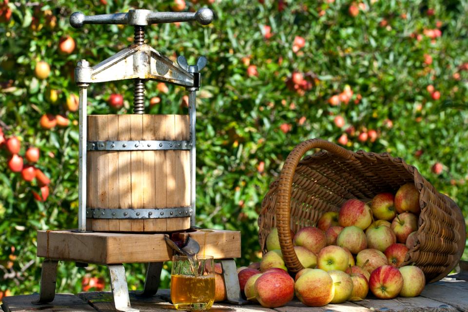 Terroir-Artisan - Le cidre artisanal, le nouveau rendez-vous apéro