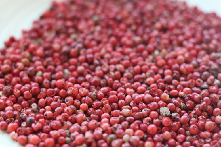 Terroir-Artisan - Le poivre en France, son origine, son histoire Terroir-Artisan - Le poivre en France, son origine, son histoire