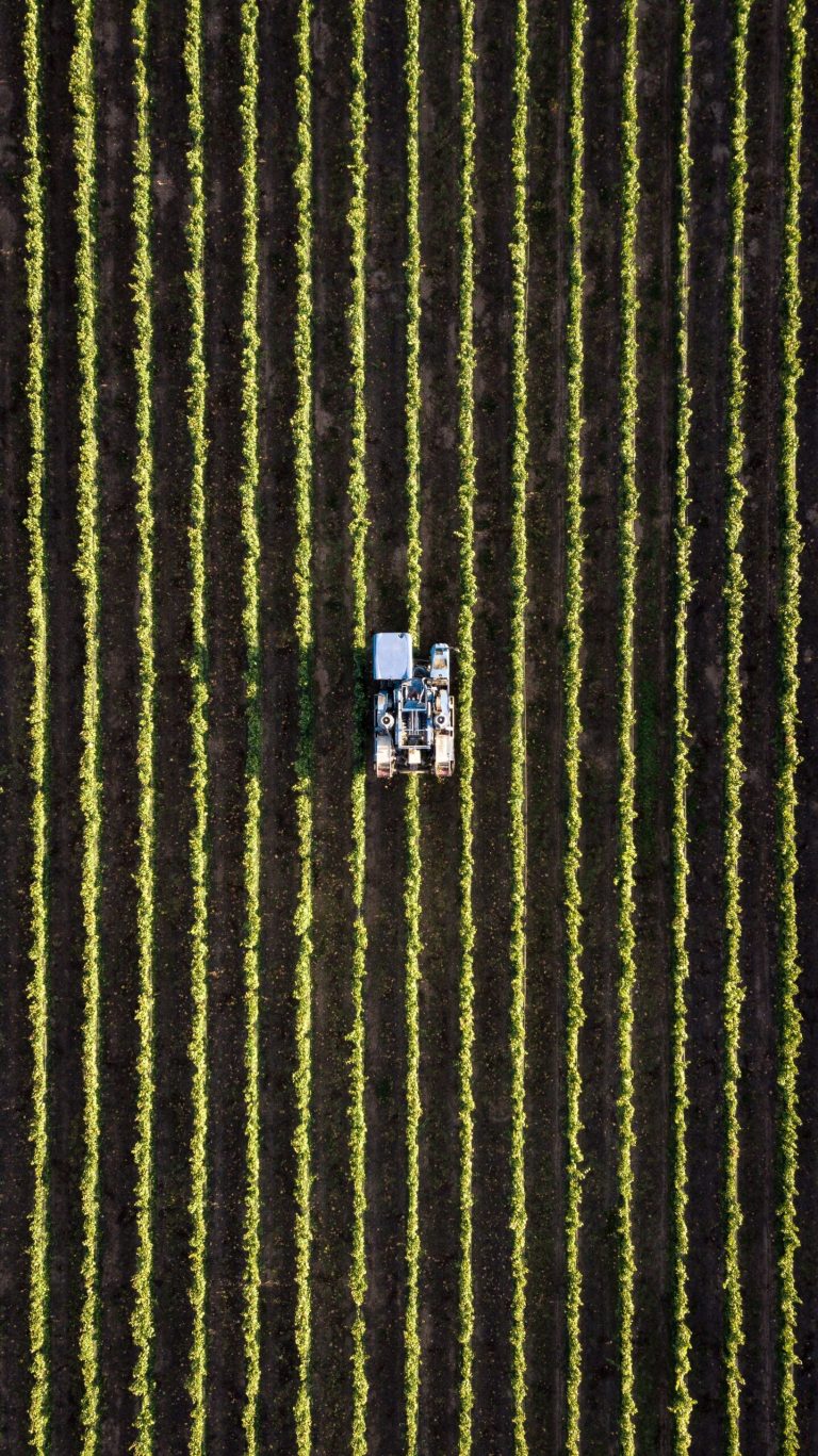 Terroir-Artisan - Tendances agricoles : comment le secteur se réinvente-t-il ? Terroir-Artisan - Tendances agricoles : comment le secteur se réinvente-t-il ?