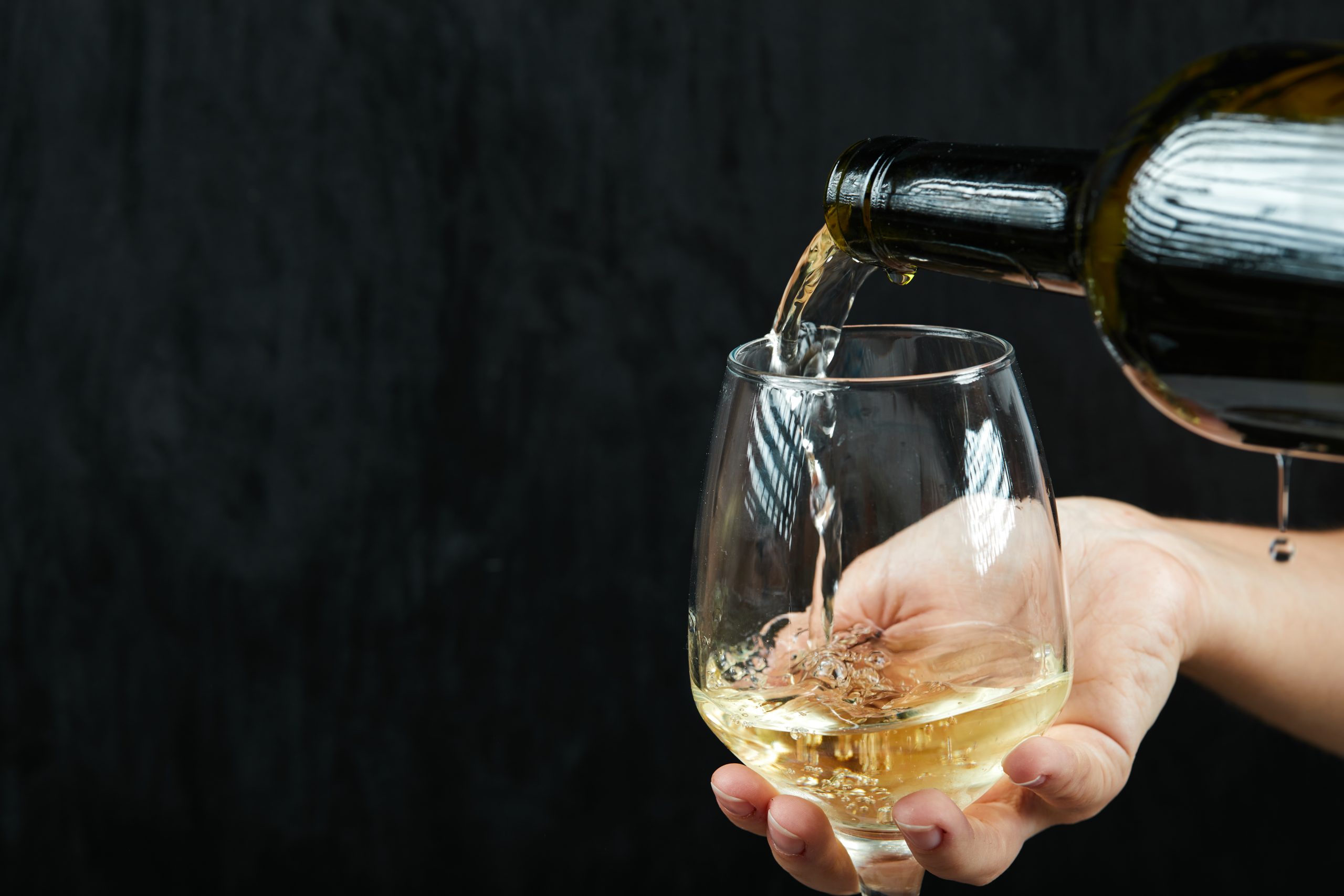 Terroir-Artisan - Muscadet Domaine de l’Aurière Millésime 2023 - galerie Terroir-Artisan - Muscadet Domaine de l’Aurière Millésime 2023 - galerie