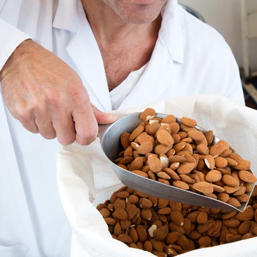 Terroir-Artisan - Sachet Découvertes 360g – Nougat Amandine - galerie Terroir-Artisan - Sachet Découvertes 360g – Nougat Amandine - galerie