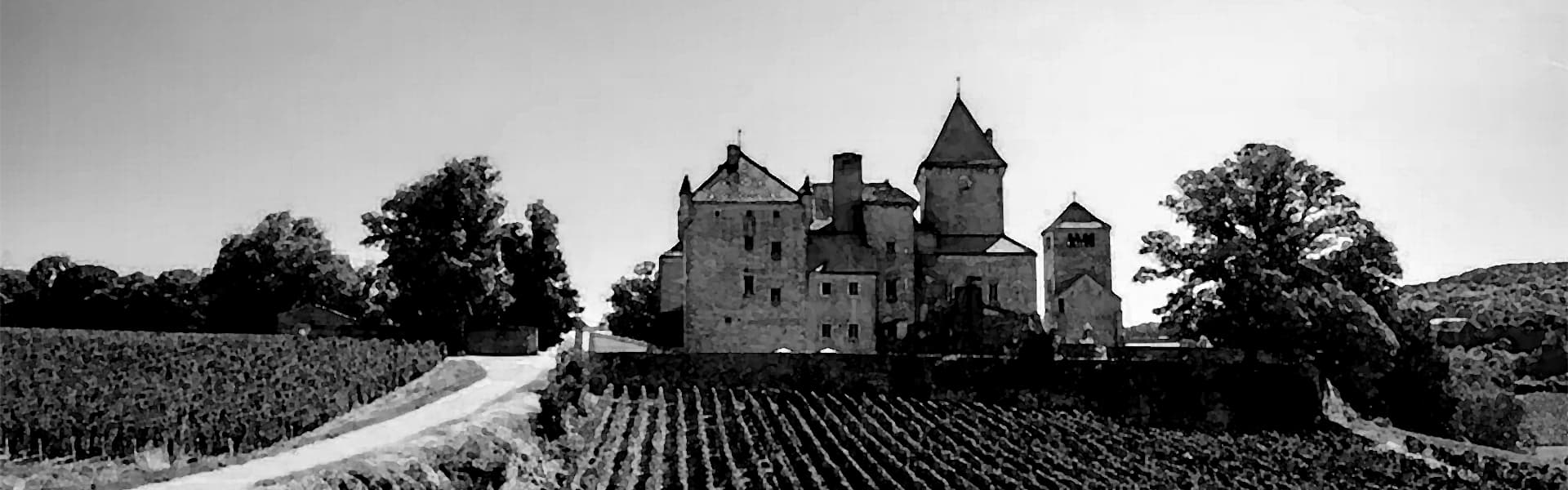 Terroir-Artisan - Region - Les vins de l’Yonne : vignoble, production et dégustation