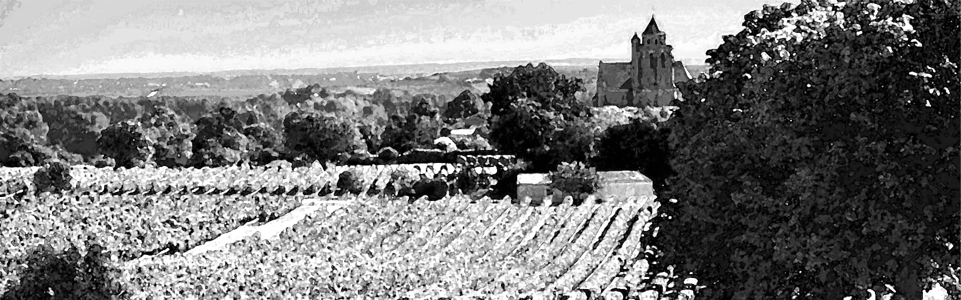 Terroir-Artisan - Region - Château de Malherbes : Domaine d’Exception