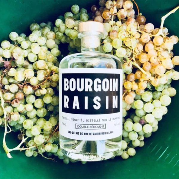 Terroir-Artisan Cognac Bourgoin Raisin Double Zéro image 2