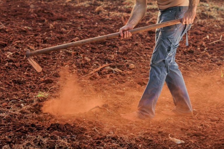Terroir-Artisan - On vous dit tout sur les fermes permacoles ! Terroir-Artisan - On vous dit tout sur les fermes permacoles !