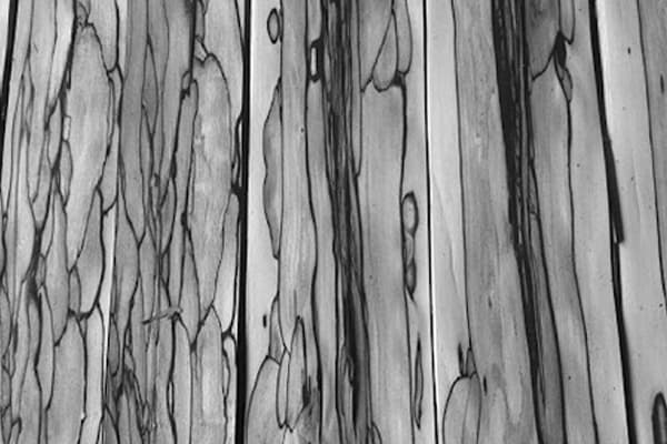 Terroir-Artisan - Couteau de cuisine Nakiri - galerie Terroir-Artisan - Couteau de cuisine Nakiri - galerie