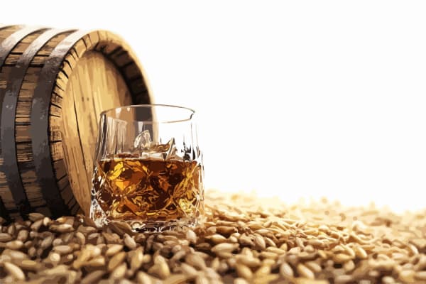 Terroir-Artisan - Crème de whisky Sublime 1890 Bouteille 70 Cl – Le Vin Emoi - galerie Terroir-Artisan - Crème de whisky Sublime 1890 Bouteille 70 Cl – Le Vin Emoi - galerie