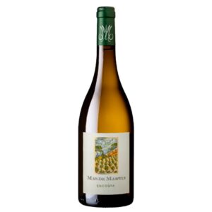 Terroir-Artisan - Mas de Martin - Vin Encosta 2024 75cl – Mas de Martin