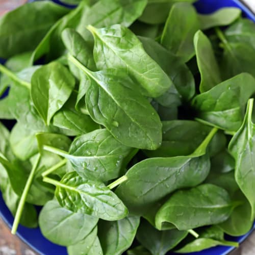 Terroir-Artisan - Pesto d’épinards – Rikoboko - galerie Terroir-Artisan - Pesto d’épinards – Rikoboko - galerie