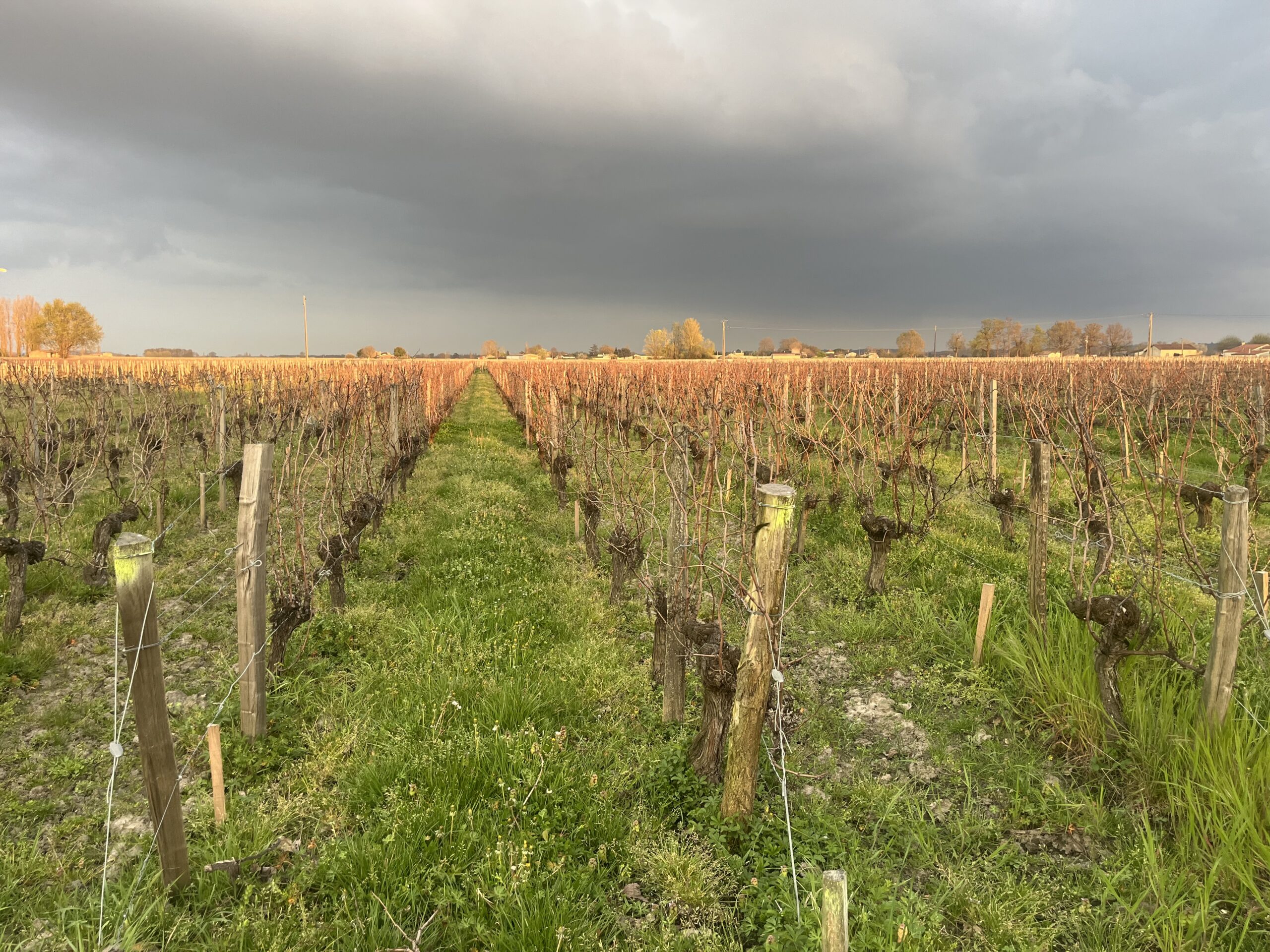 Terroir-Artisan -  - Galerie artisan