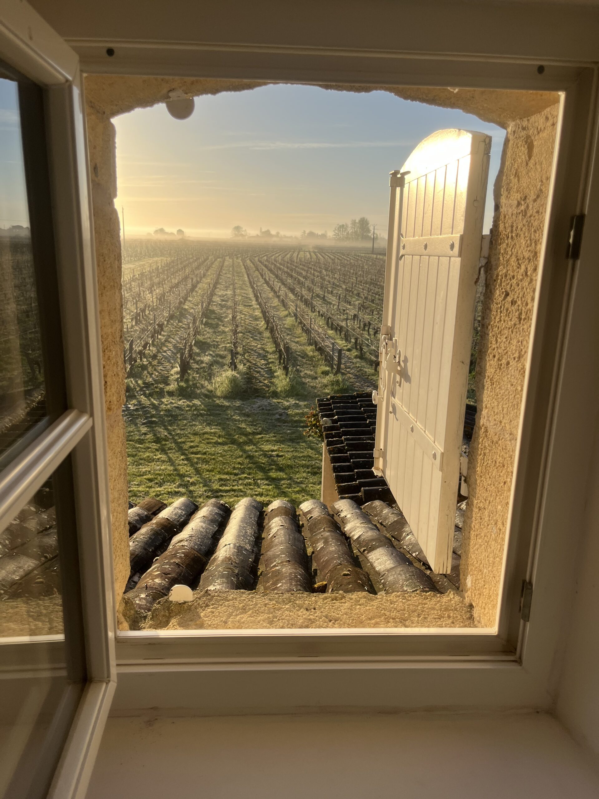 Terroir-Artisan -  - Galerie artisan